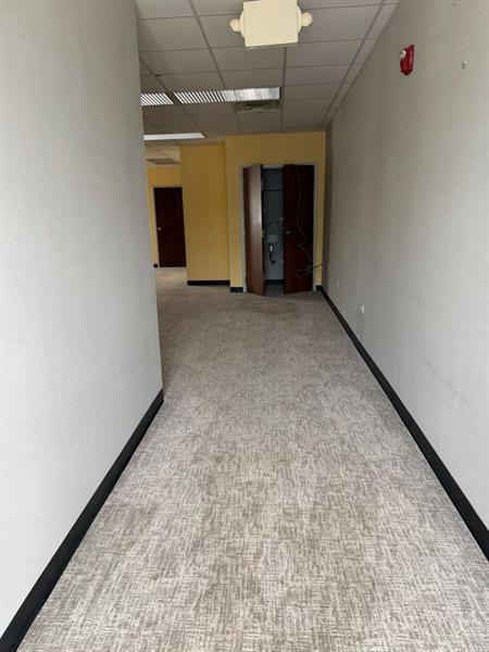Carpeted office corridor cleaned